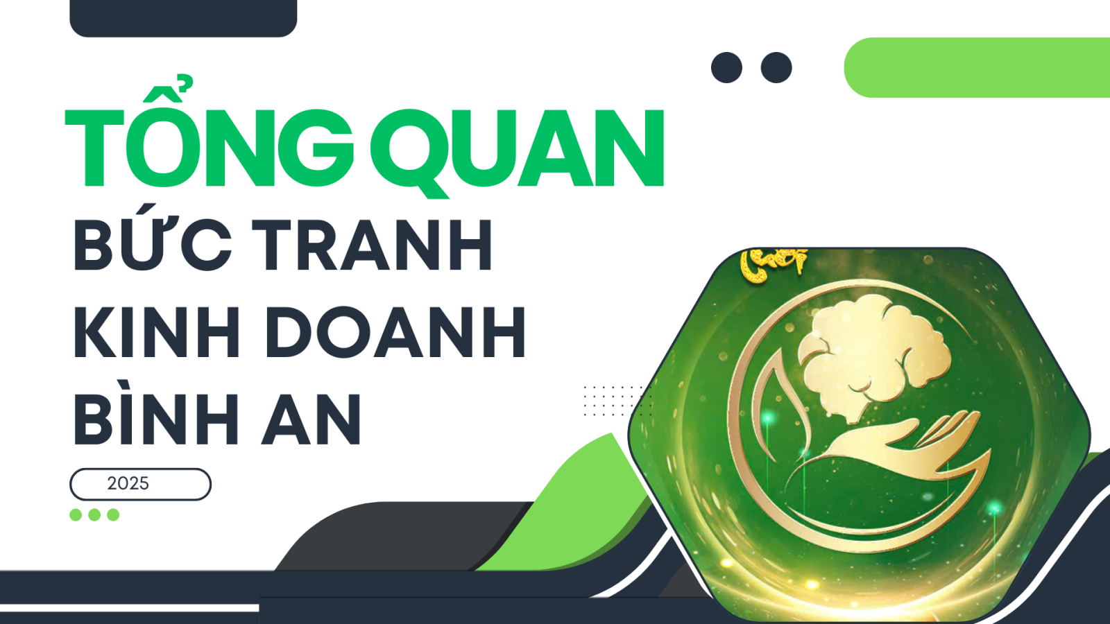 TỔNG QUAN BỨC TRANH KINH DOANH BÌNH AN